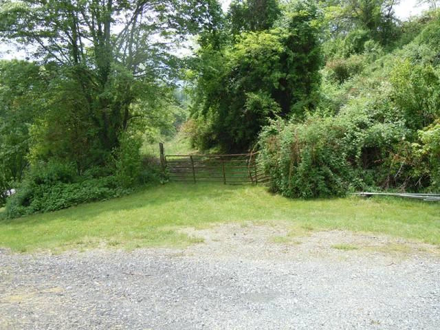 Image number 3 for the current listing