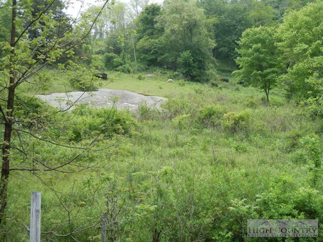 Image number 5 for the current listing