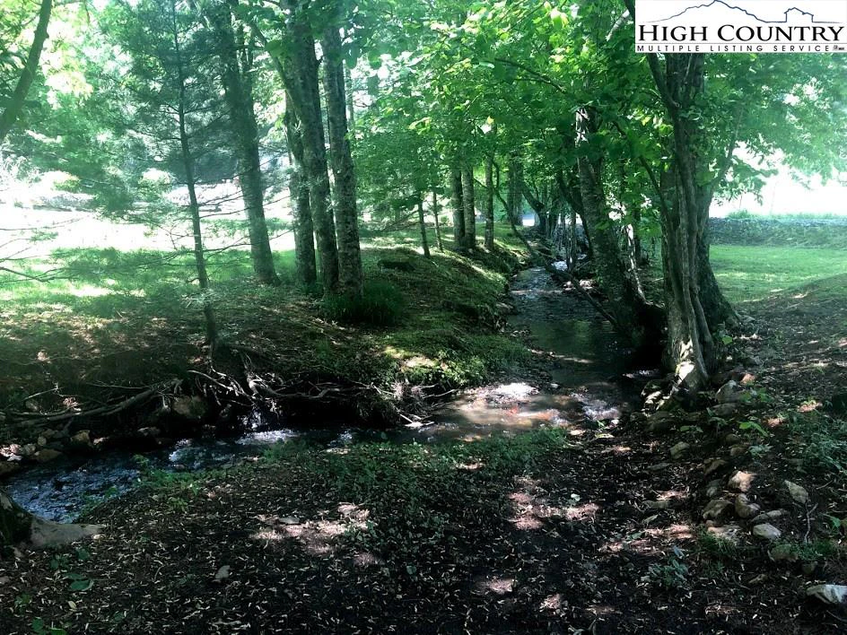 Image number 12 for the current listing