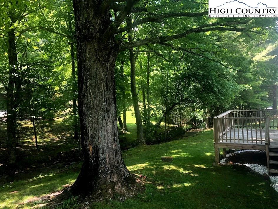 Image number 5 for the current listing