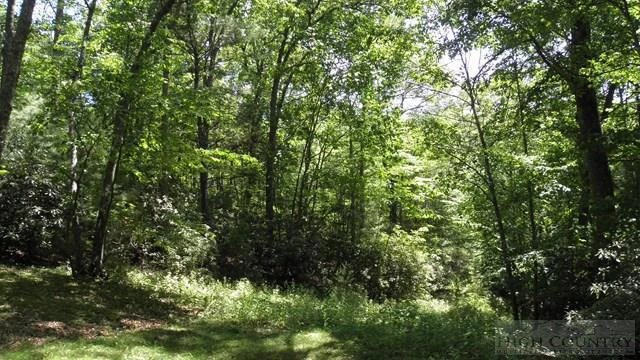 Image number 14 for the current listing