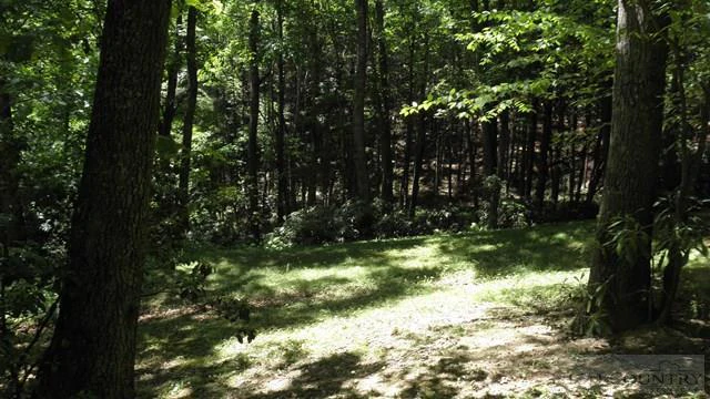 Image number 13 for the current listing