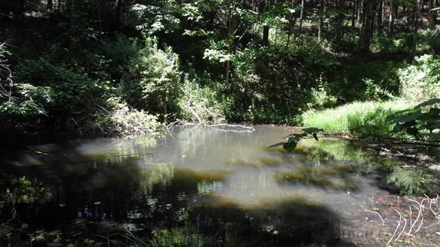 Image number 11 for the current listing