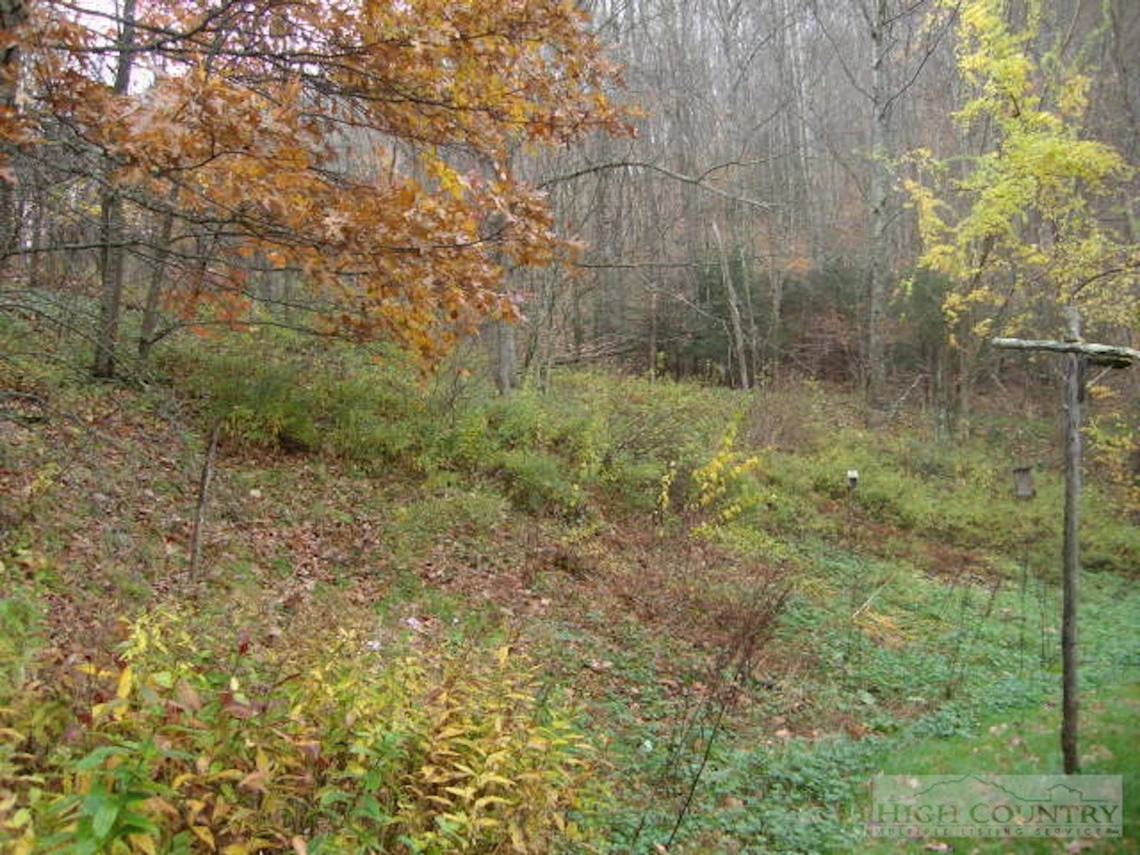 Image number 3 for the current listing