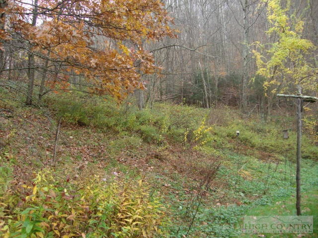 Image number 3 for the current listing
