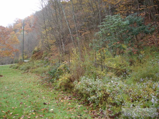 Image number 5 for the current listing