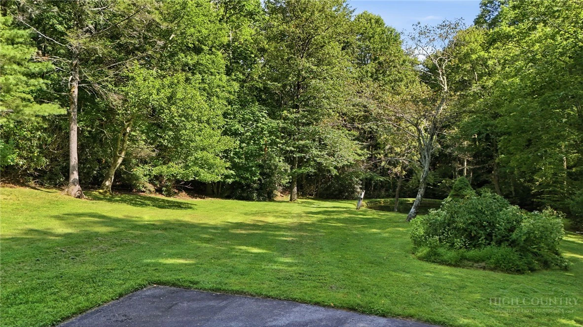 Image number 5 for the current listing