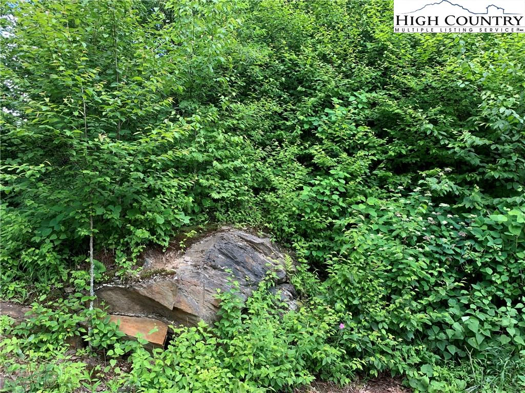 Image number 4 for the current listing