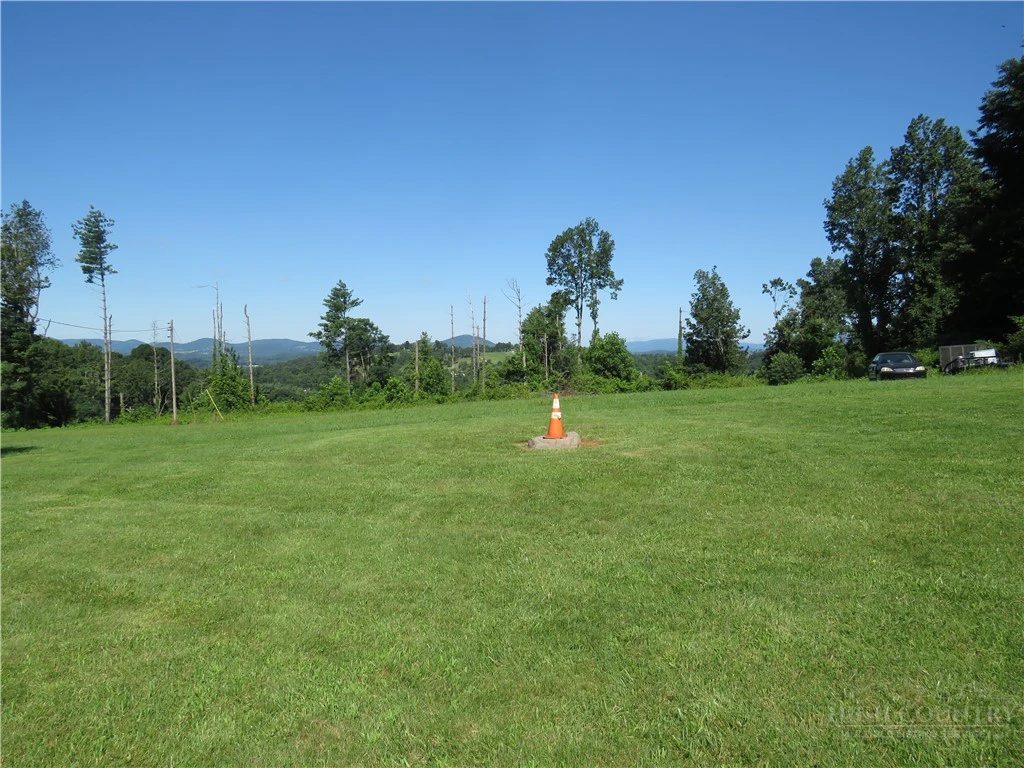 Image number 4 for the current listing