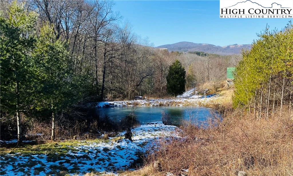 Image number 15 for the current listing