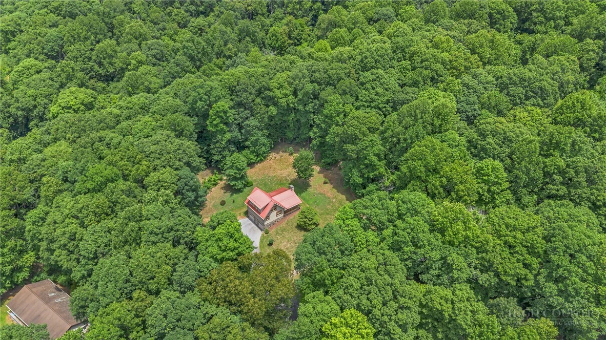 Image number 2 for the current listing