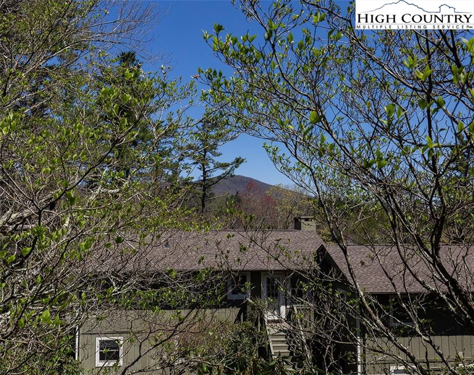 Image number 3 for the current listing