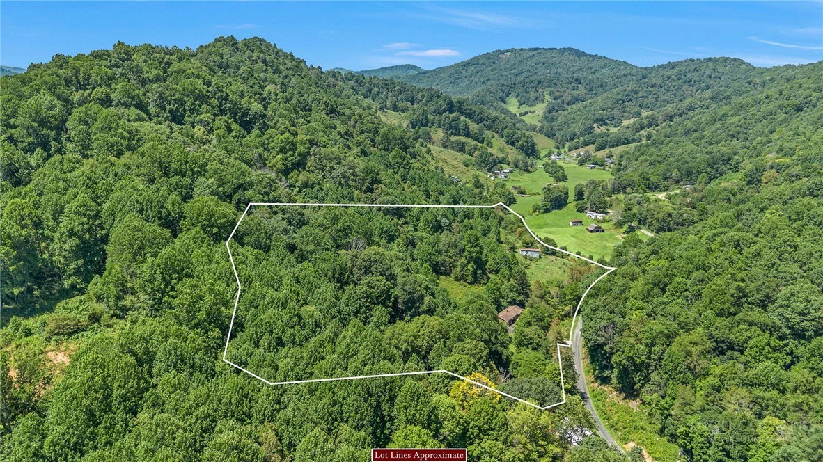 Image number 3 for the current listing