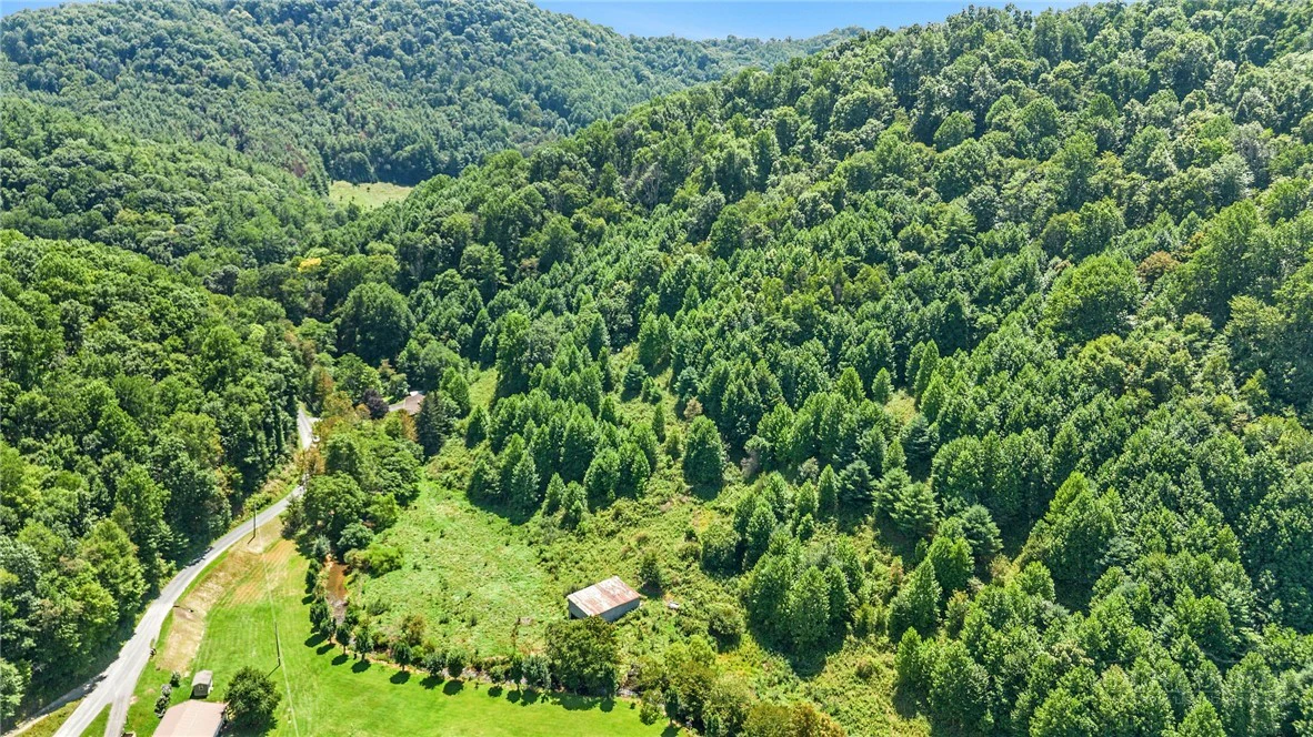 Image number 4 for the current listing