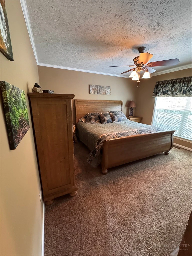 Image number 11 for the current listing