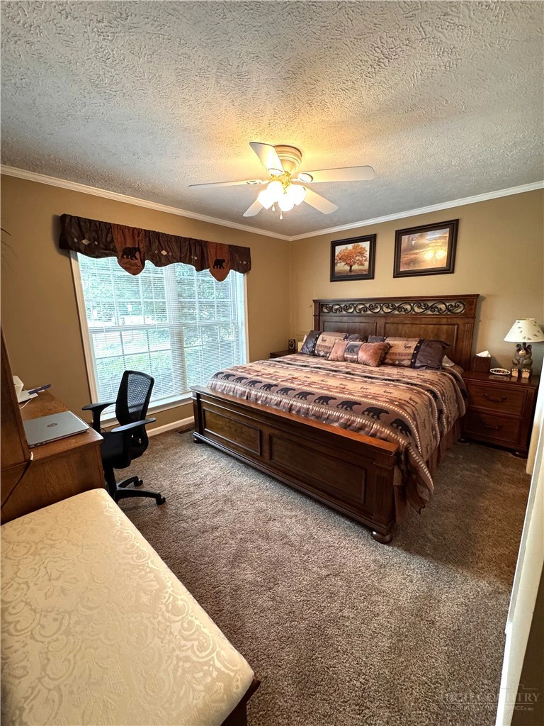 Image number 14 for the current listing