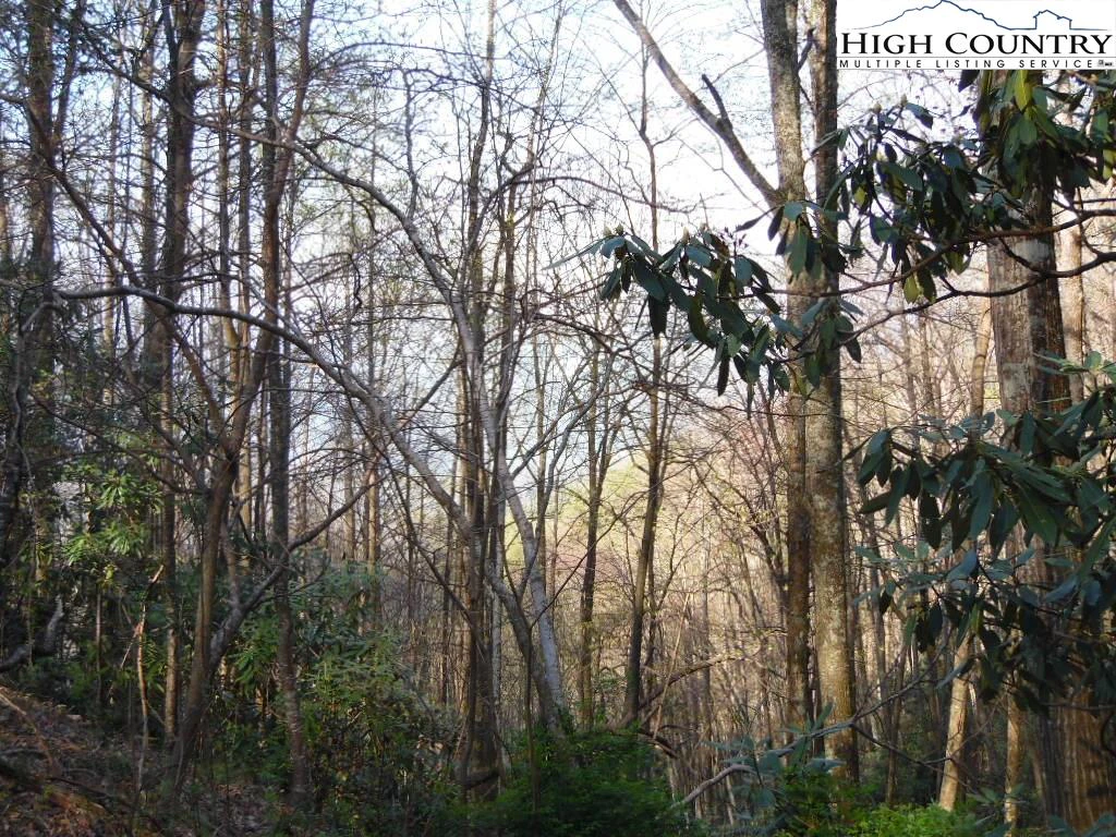 Image number 8 for the current listing