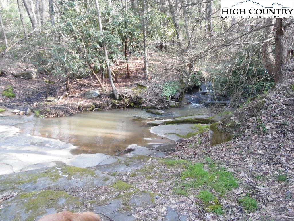 Image number 18 for the current listing