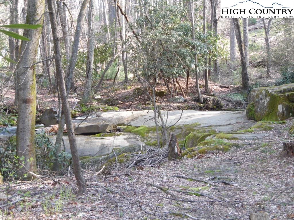 Image number 17 for the current listing