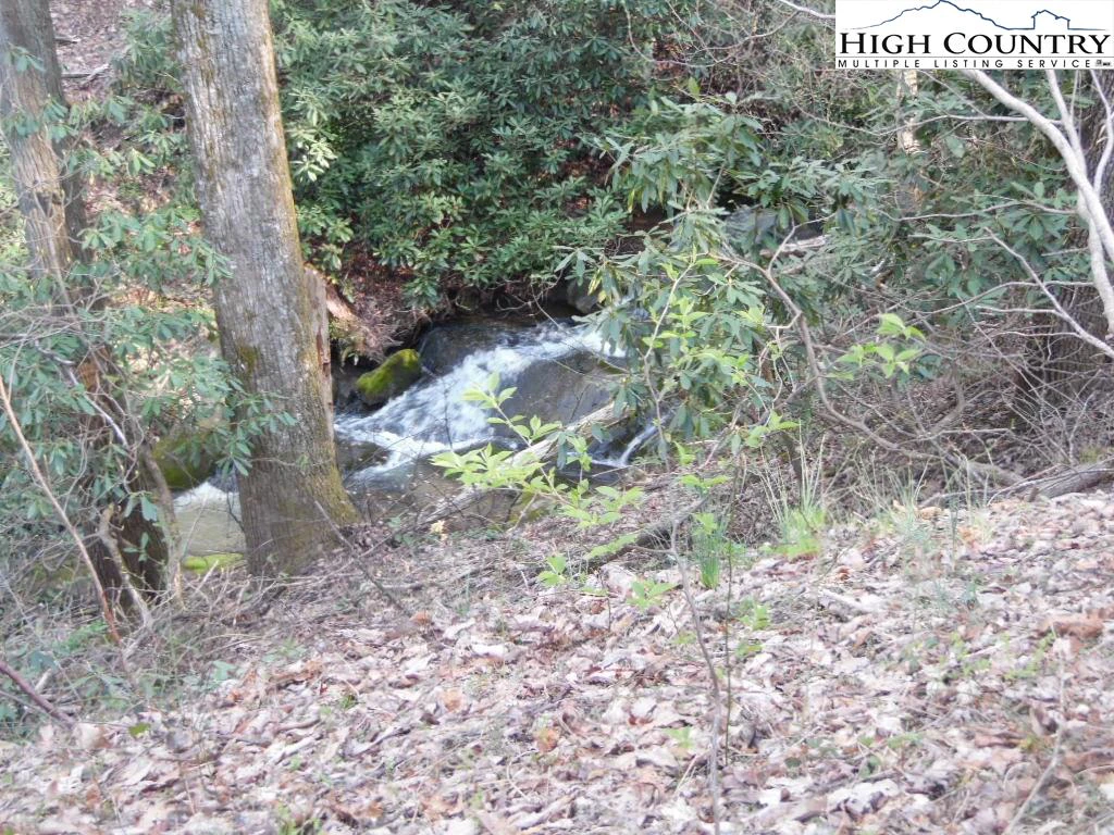 Image number 15 for the current listing