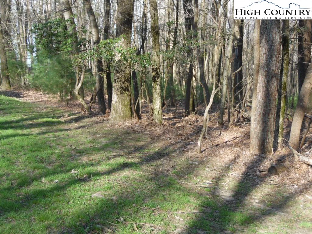 Image number 12 for the current listing