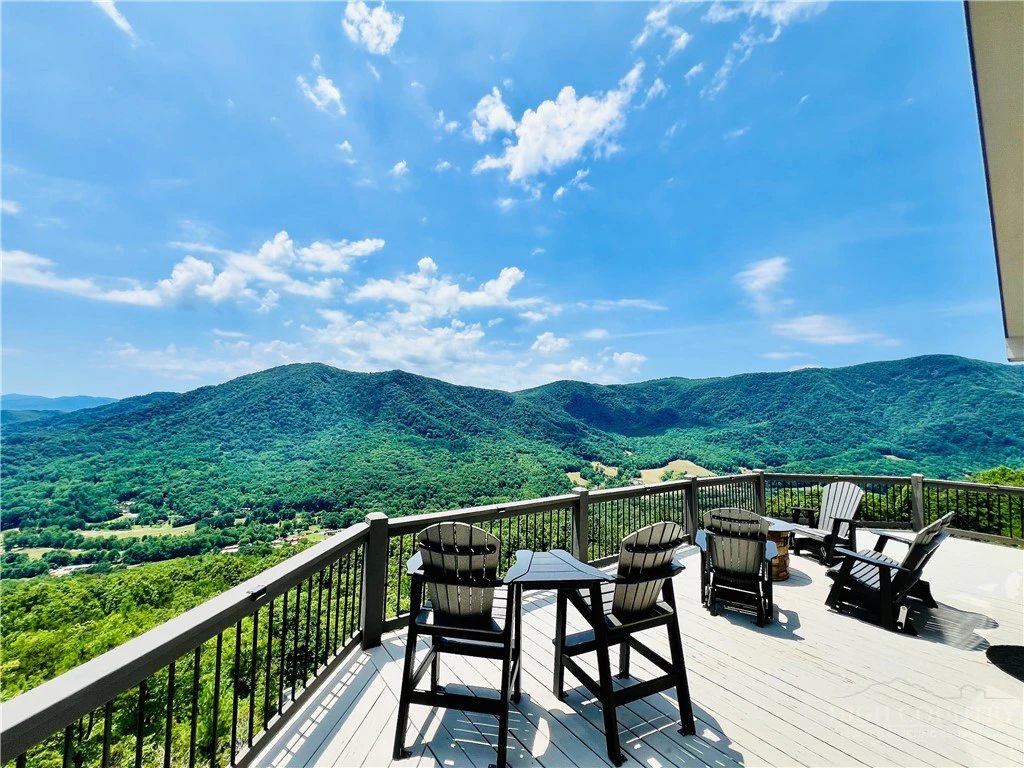 Image number 1 for the current listing
