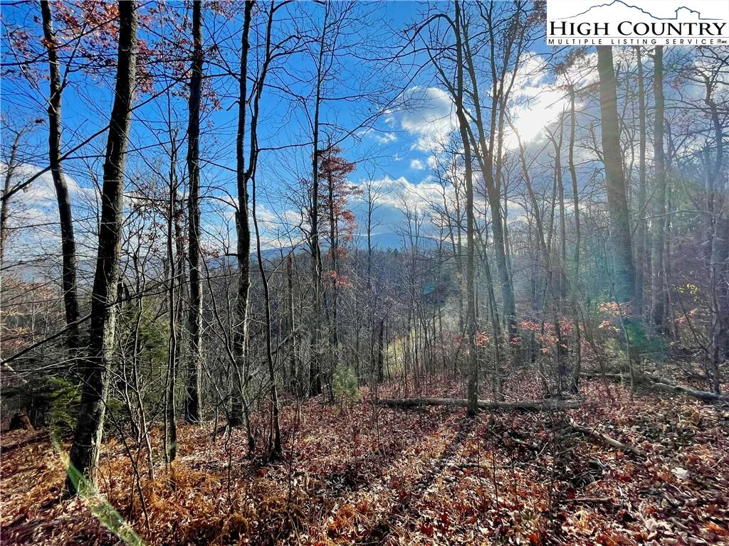 Image number 1 for the current listing