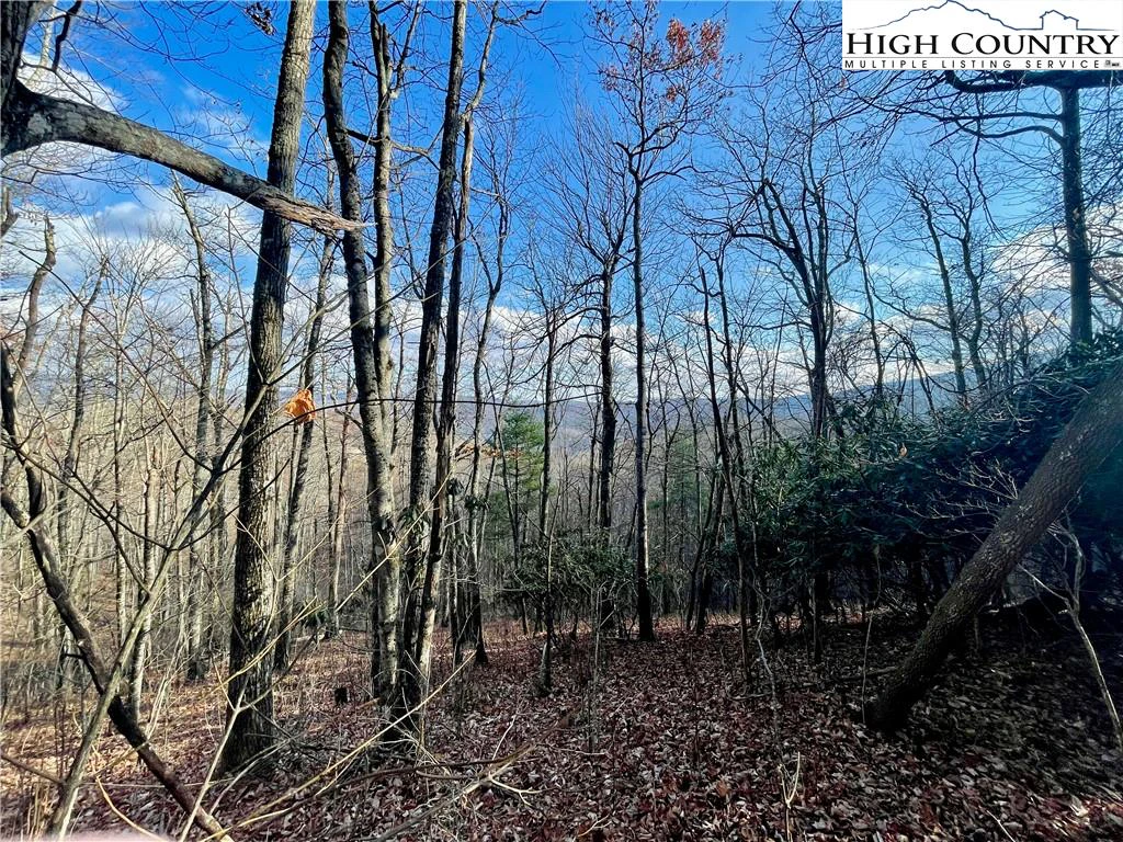 Image number 15 for the current listing