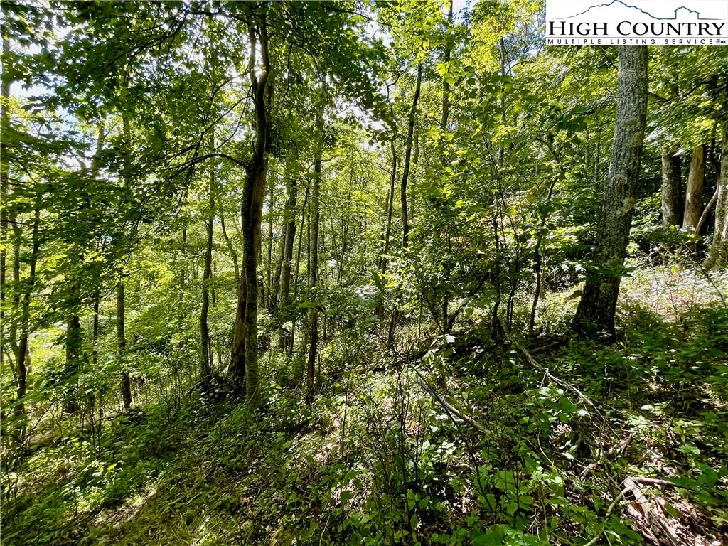 Image number 9 for the current listing
