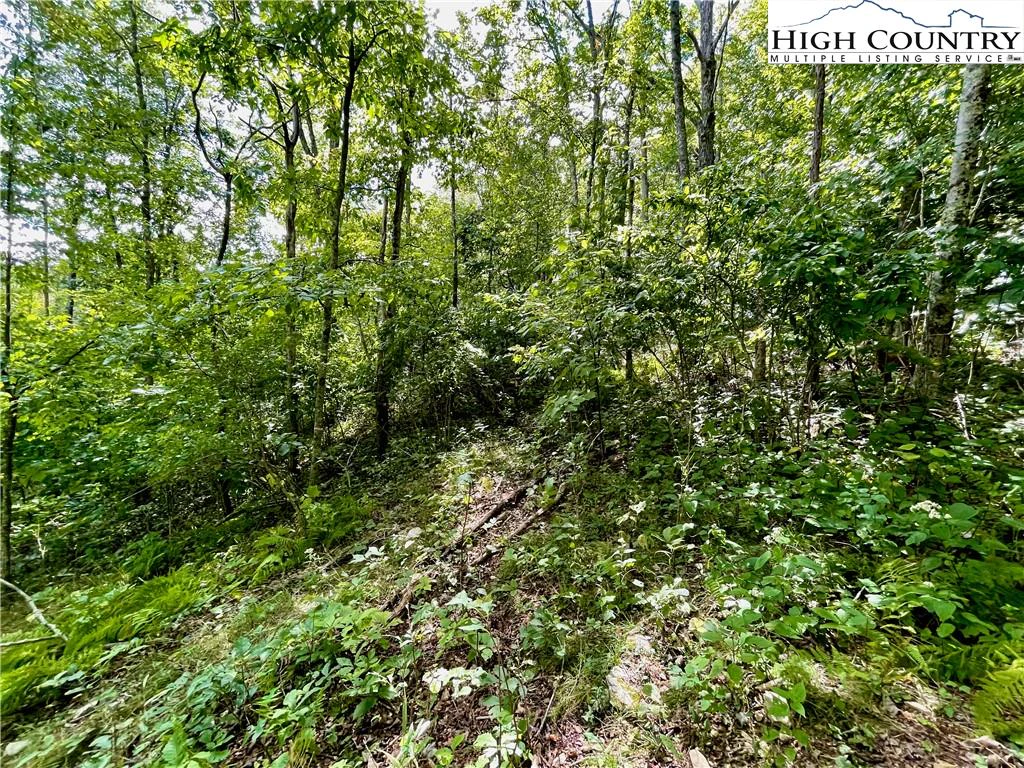 Image number 8 for the current listing