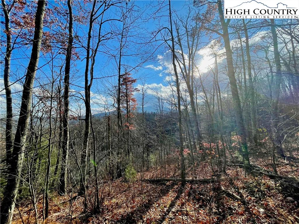 Image number 3 for the current listing