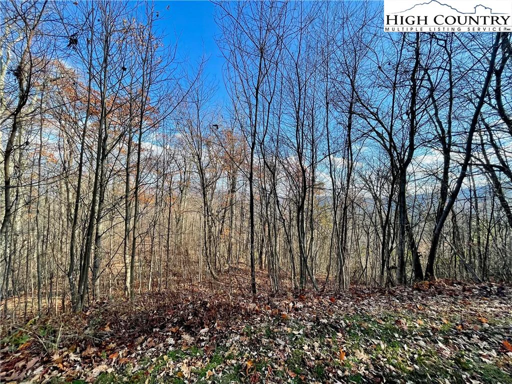 Image number 20 for the current listing