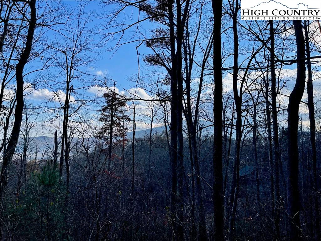 Image number 18 for the current listing