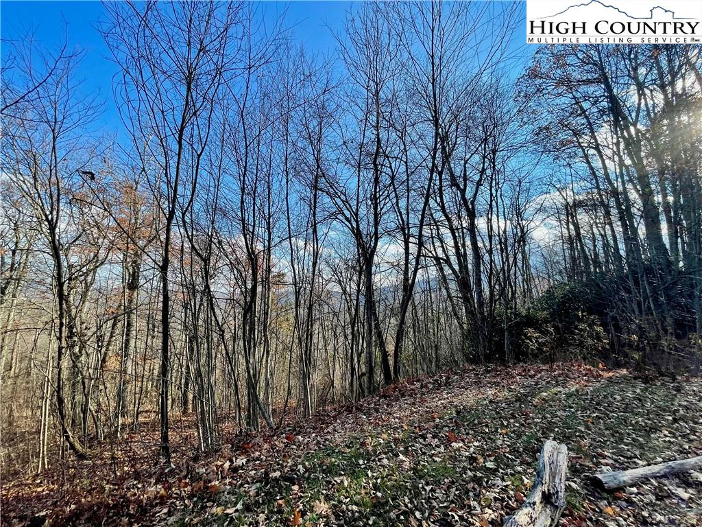 Image number 17 for the current listing