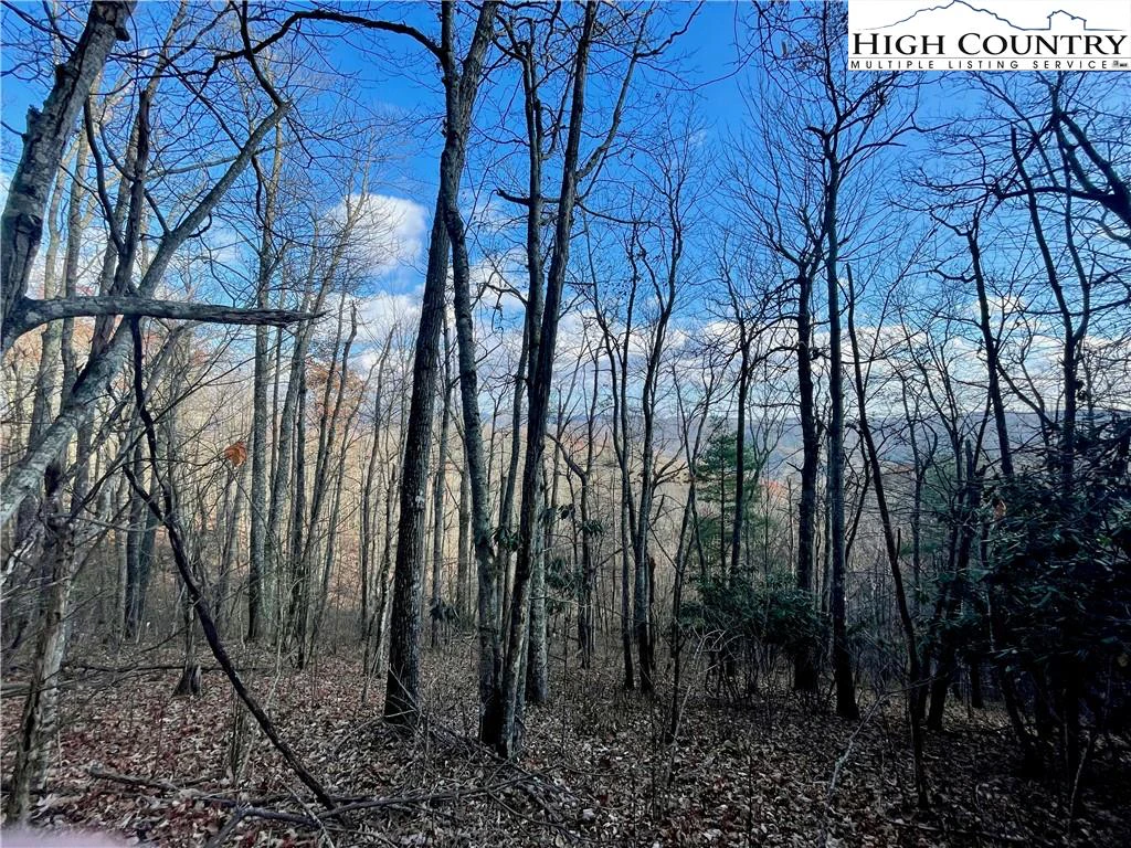 Image number 16 for the current listing