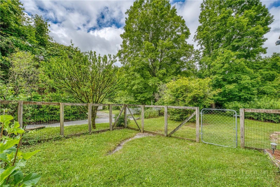 Image number 4 for the current listing