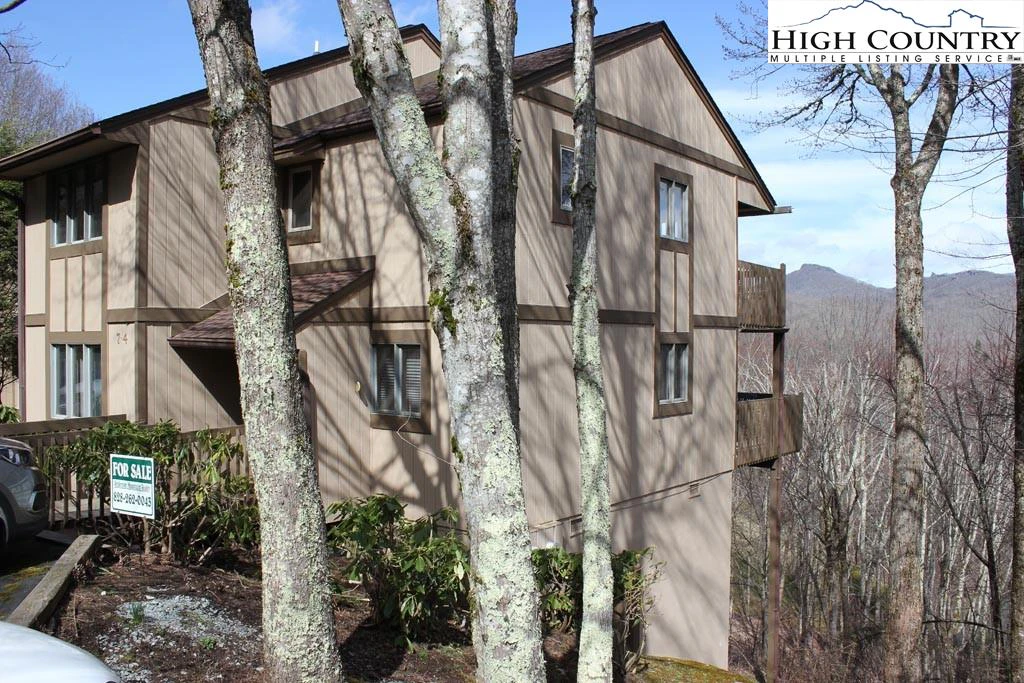 Image number 1 for the current listing