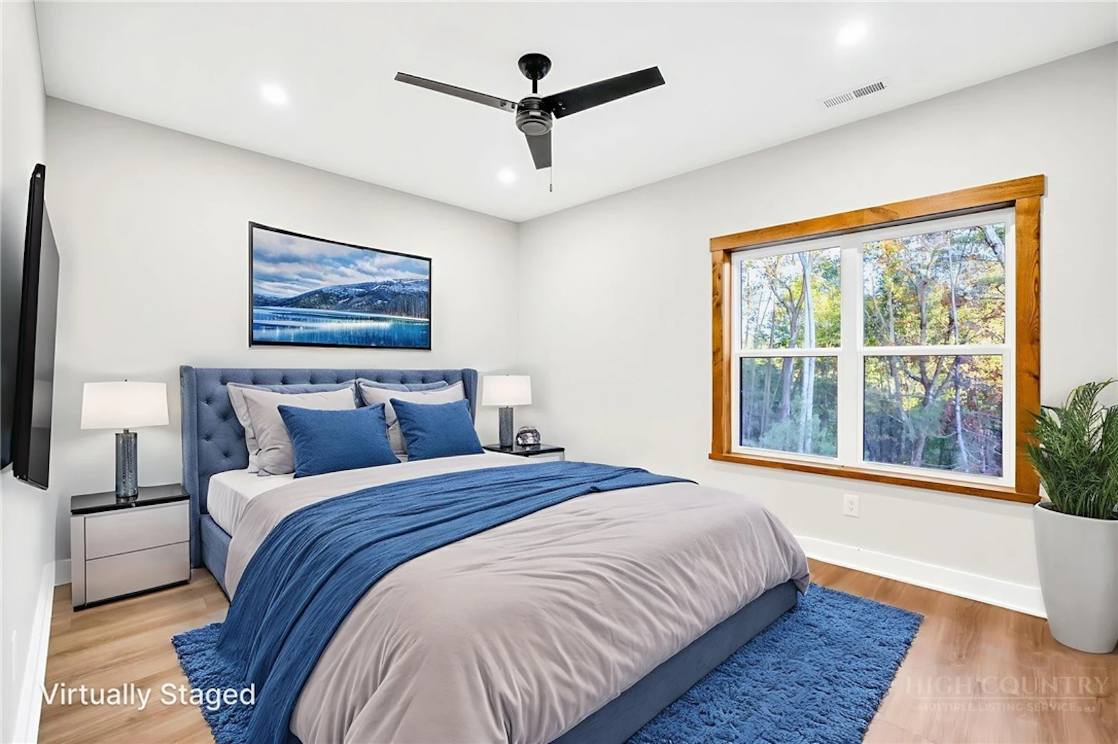 Image number 12 for the current listing