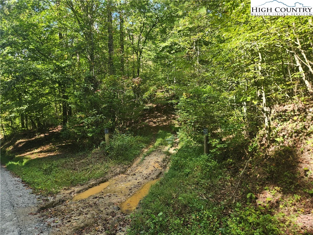 Image number 4 for the current listing