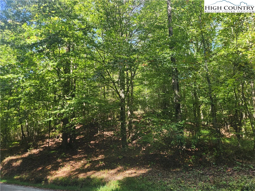 Image number 5 for the current listing
