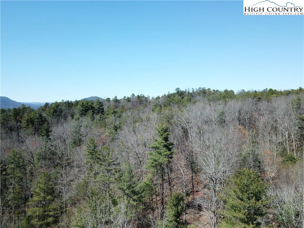 Image number 2 for the current listing