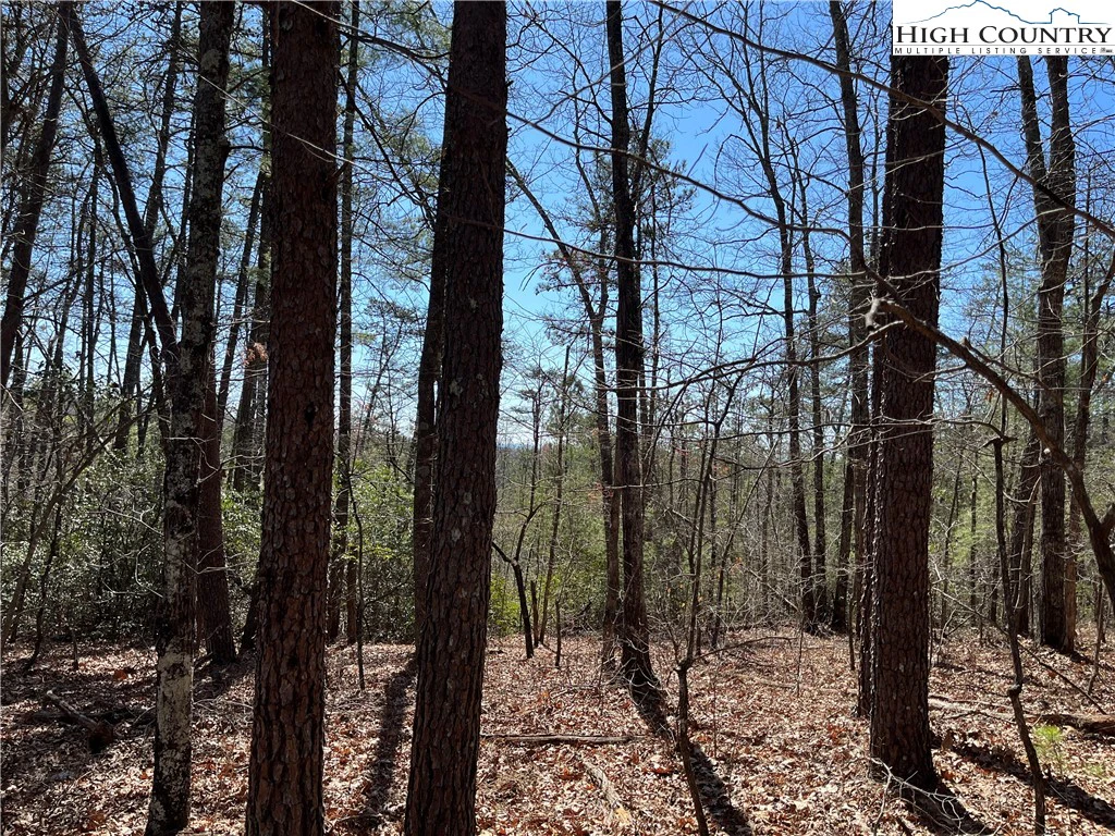 Image number 1 for the current listing
