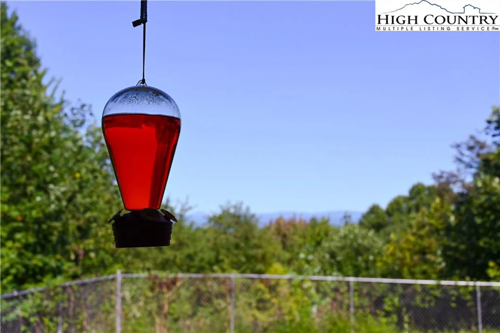 Image number 13 for the current listing