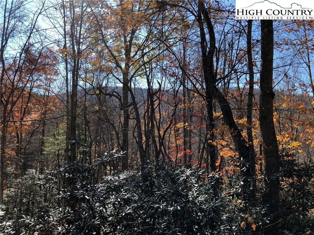 Image number 1 for the current listing