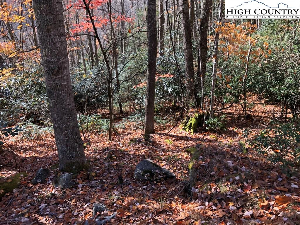 Image number 3 for the current listing