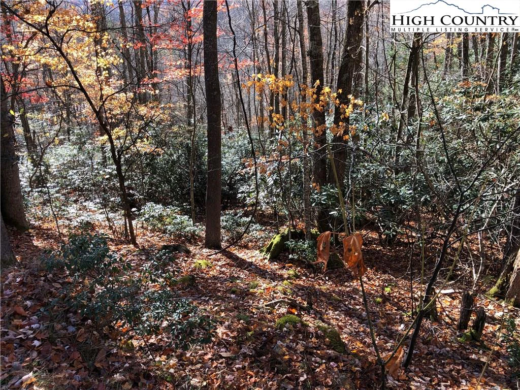 Image number 4 for the current listing