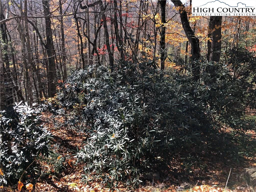 Image number 5 for the current listing
