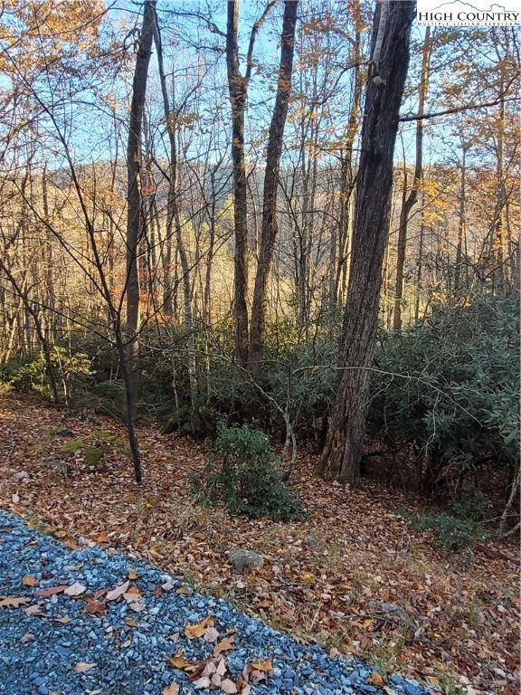 Image number 1 for the current listing