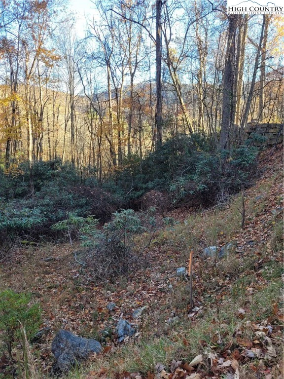 Image number 3 for the current listing
