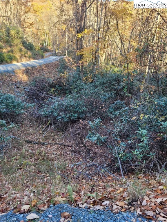 Image number 4 for the current listing